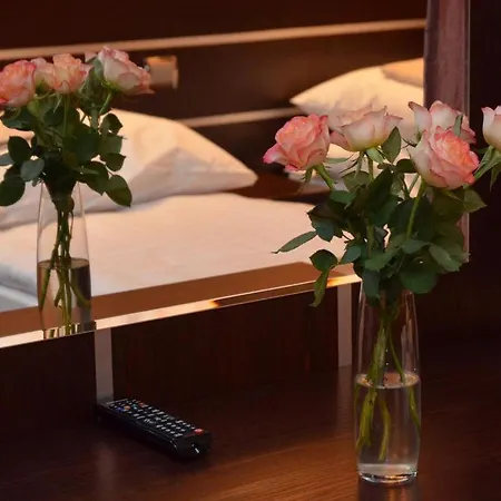 Hostel Gosciniec Biznesowy Dabrowa Gornicza