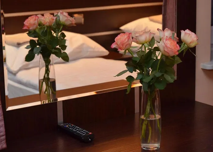 Hostel Gosciniec Biznesowy Dabrowa Gornicza